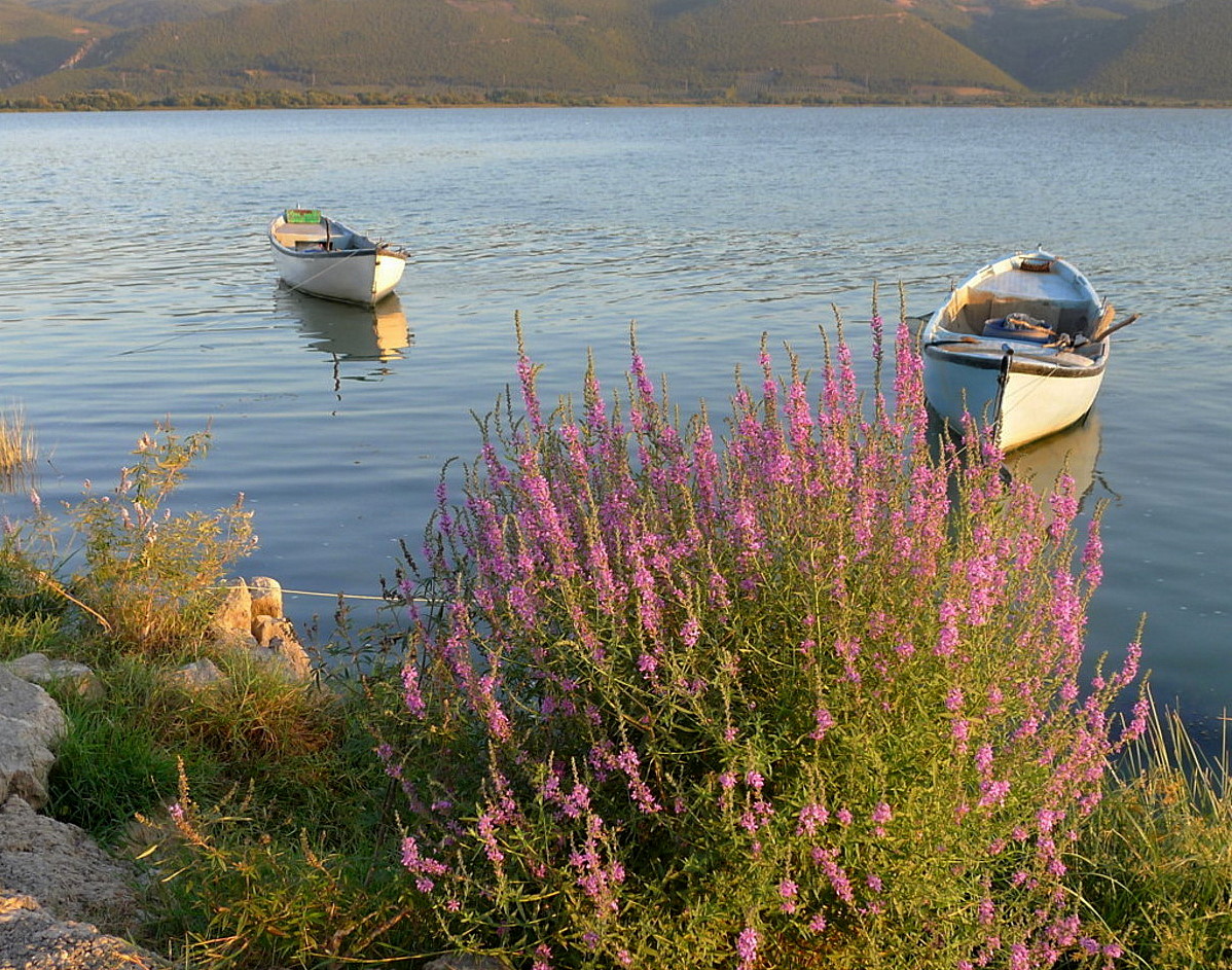 Apolyont Lake ( Uluabat Lake )